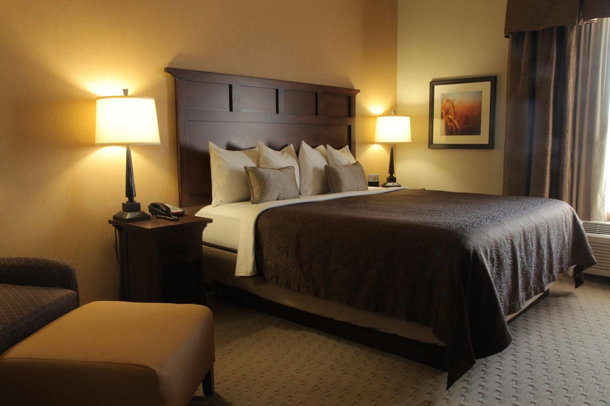 Teddy'S Residential Suites Watford City Eksteriør billede